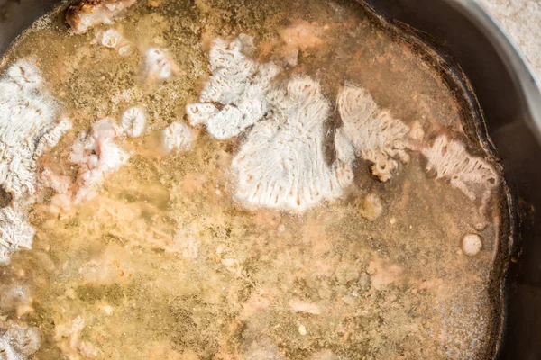 mold in a plate. Spoiled food. Stinky broth