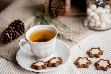 Tarçınlı yıldız ve tarçın şenlikli bir arka plan üzerinde. Pembe şekerleme ve beyaz bir fincan sıcak kakao. yeşil Ladin ağacı dalı. Noel kahvaltı.