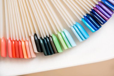 Güzellik Salonu içinde parlak çok renkli manikür. Güzellik ve seçim kavramı