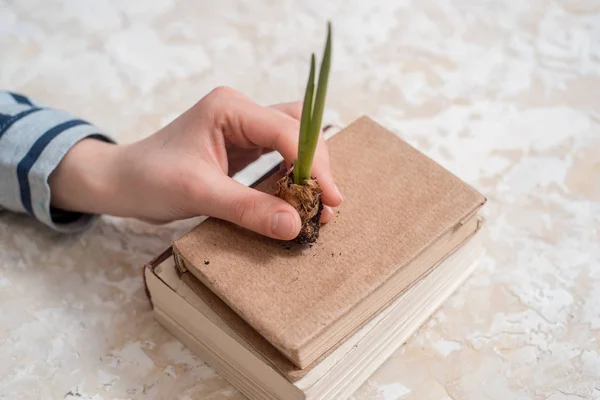 Young plant on old book against spring natural background. Ecology concept