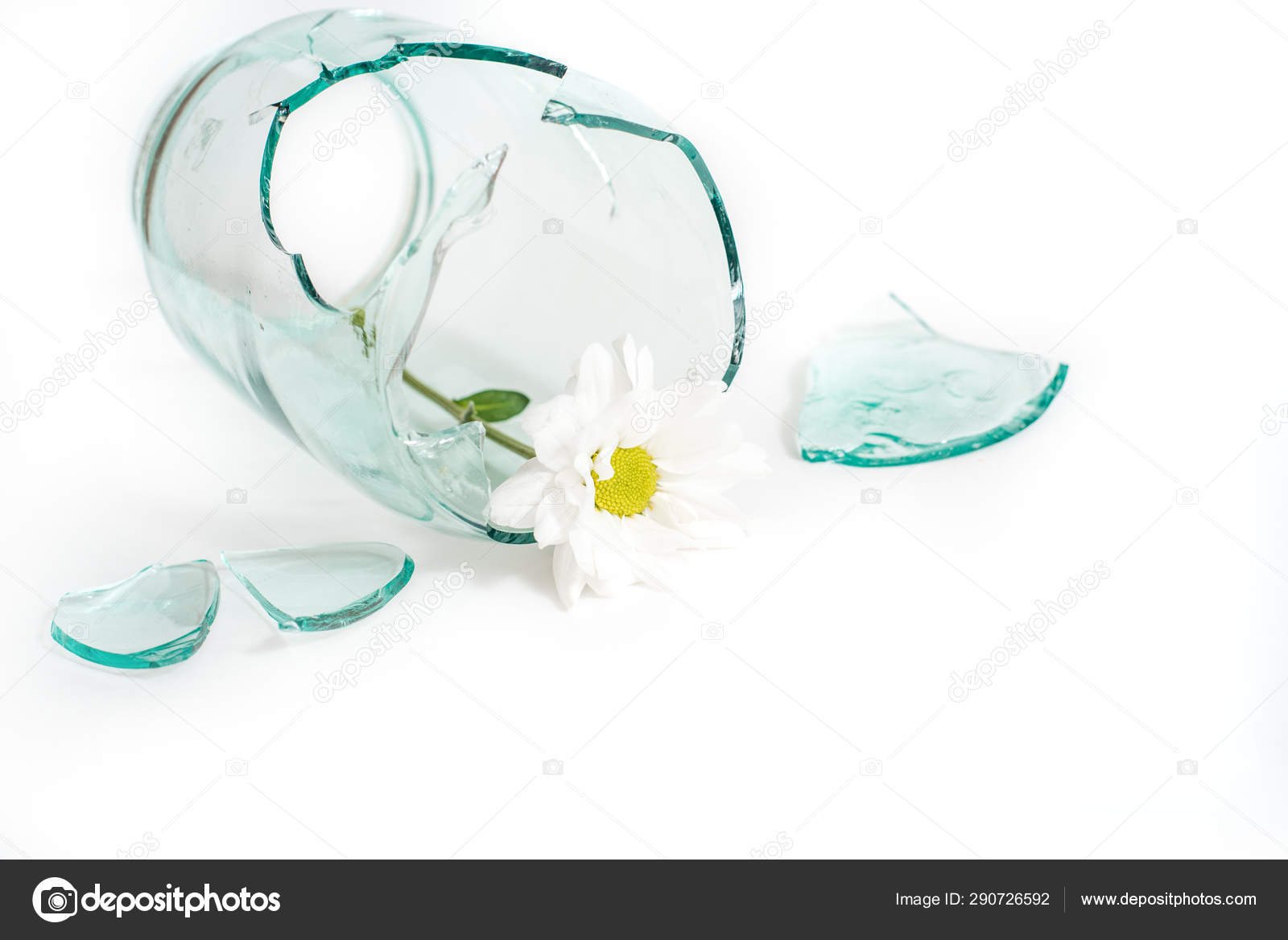 破碎的玻璃，一个破碎的花瓶里的花。不幸的爱、悲伤和眼泪的概念. ——图库图片© Irishasel #290726592, image size:1600x1168