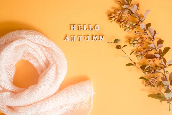 Autumn Arrives. Fashion Lady Clothes Set. Trendy Cozy Knit Jumper. Stylish Handbag Clutch, Vintage. Fall Leaves. Vanilla Pastel colors. Flat lay. — Stock Photo, Image