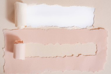 Yırtık suluboya kağıt. Mocap tebrik kartı. Nane ve Hıçkıra hıçkıra çiçek. Doğal ev yapımı çay. Çay çiçekleri. Noel ya da Sevgililer Günü. üst görünüm, kopyalama alanı