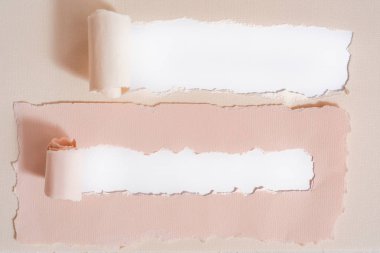 Yırtık suluboya kağıt. Mocap tebrik kartı. Nane ve Hıçkıra hıçkıra çiçek. Doğal ev yapımı çay. Çay çiçekleri. Noel ya da Sevgililer Günü. üst görünüm, kopyalama alanı