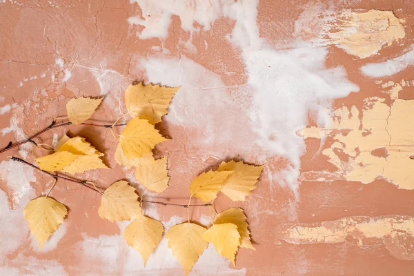Feuilles sèches de bouleau jaune d'automne sur un fond de béton. Concept d'automne confortable — Photo