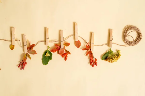 Hojas de otoño en una línea de ropa sostenida por pinzas de tela sobre madera turquesa — Foto de Stock