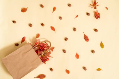 Zanaat zarfı, yapraklar, eski ahşap arka planda balkabakları. Düz yerde, üst tarafta, tepede. Rahat bir çalışma alanı, rahat bir konsept. Şükran Günü sonbaharı düzleşmeye başlıyor.,