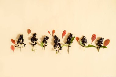 Güzel kart, sonbahar kompozisyonu. Kuru yapraklar ve mürver. Kara böğürtlen Yaz sonunda hasat edin Top View, düz yatıyordu. Sarı arka planda, yapraklardan bir gülümseme. Boşluğu kopyala.