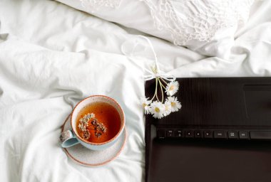 Açık dantel, pamuk beyazı battaniye. Botanik kitabı, nane şekerinden yapılmış doğal bitki çayı bardağı, papatya çiçeği. Yatakta sabah kahvaltısı. Provence ve retro tarzı. Temiz konfor ve tazelik