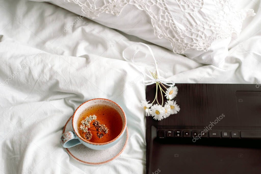 Laptop, a cup of tea,White bed and plaid. sunny morning and breakfast. work online in a comfortable home. cozy bright room