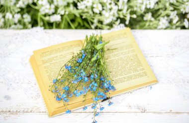 Açık bir klasik kitap, ahşap masada mavi unutmayan çiçekler, köyde sıcak bir sabah, güneşli yaz, tatiller. Batanica 'nın Kitabı..