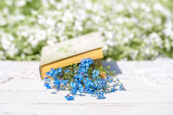 Open Vintage Book Blue Forget Flowers Wooden Table Cozy Morning — Stock Photo, Image