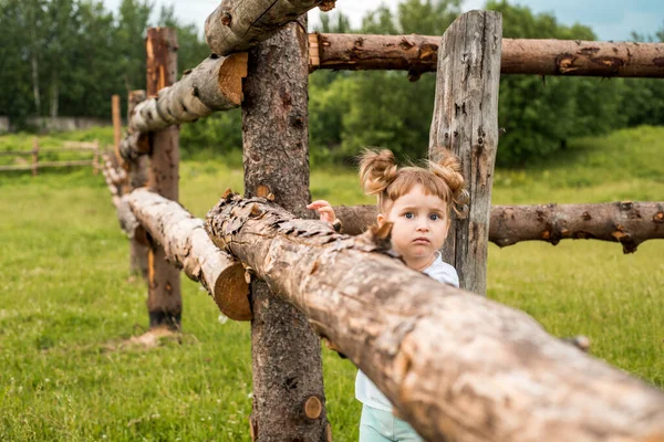 Crianças Meninas Lado Uma Cerca Aldeia Caminha Campo Agricultura Ecologia — Fotografia de Stock