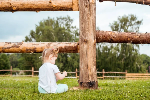 Utomhus Porträtt Flicka Som Sitter Gräset Nära Stängslet Sommar Byn — Stockfoto