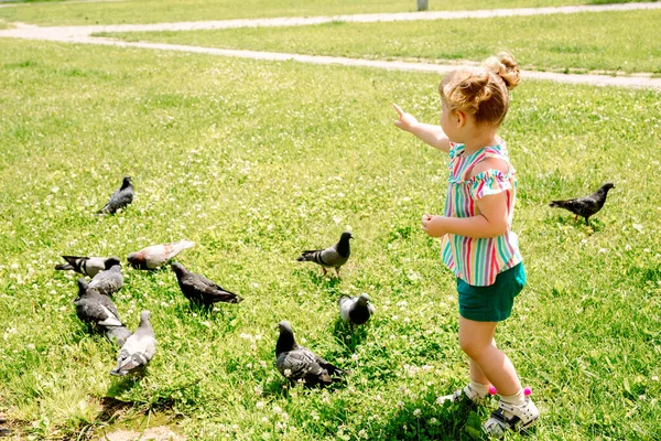 Kid Está Alimentando Pombos Parque Cidade Livre Pequena Menina Correndo — Fotografia de Stock