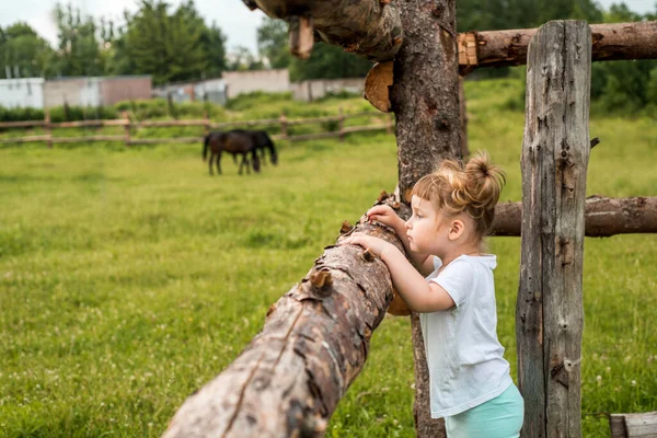 Bonito Bebê Menina Atrás Uma Cerca Madeira Pátio Uma Aldeia — Fotografia de Stock