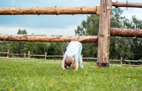 baby girl goes in for sports and yoga outdoors in village by fence, upside down, exercise, healthy lifestyle against the background of the forest, ecology nature. Field grazing horses and cows,
