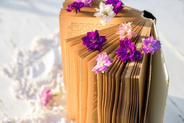 Flores Violetas Gelichrysum Libro Mantel Punto Calado Una Mesa Vieja — Foto de Stock
