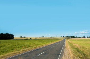 Ufuk çizgisine asfalt yol. Yeşil alanlar. mavi bulutsuz gökyüzü.