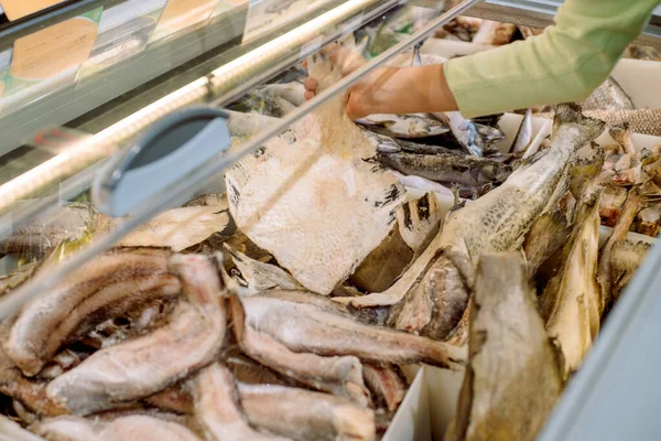 Fresh Frozen Fishes.girl chooses fish at the bazaar.