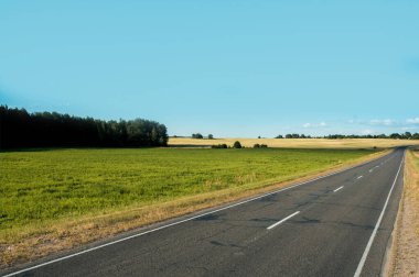 Kız beyaz kağıda gökkuşağı çiziyor ve yatağa keçeli kalemler çiziyor. Çocuklar sabahları evde oynarlar. Yaramaz yaramaz bebek, elleri, ayakları ve yüzü boyanmış, kirli..
