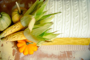 Merhaba sonbahar. Samimi sonbahar görüntüsü. Sarı balkabakları, sonbahar yaprakları örülmüş kazak ve kır ağacı. Mutlu Şükran Günleri.