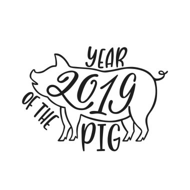 2019 Çin yeni yılı domuz. Tipografi tasarım el çekilmiş.
