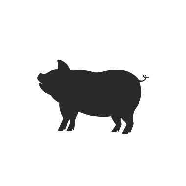 2019 Çin yeni yılı domuz. Tipografi tasarım el çekilmiş.