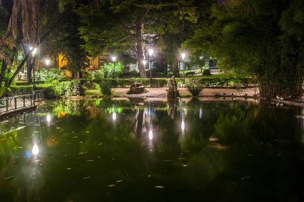 Vista Notturna Del Lago Nel Giardino Pubblico Estrela Garden Lisbona — Foto Stock