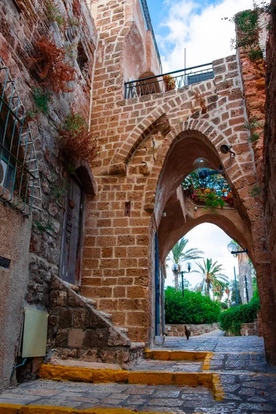 Detalles de Old Jaffa streets en Tel-Aviv, Israel — Foto de Stock