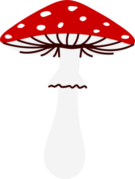 sinek agarik mantar izole çizgi film tasarım elementi