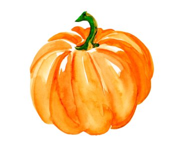 Suluboya bir balkabağı. İzole edilmiş beyaz arka planda. Suluboya kartpostal, çizim, logo. Tasarımınız için bir element. Cadılar Bayramı balkabağı, domates ve diğer tasarımlar için. Resim çizimi, logo