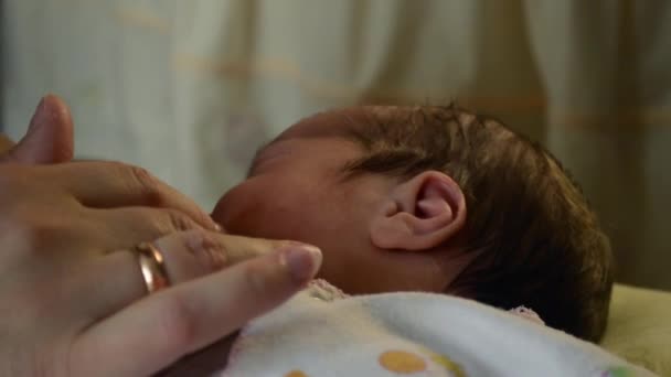 妈妈抚摸着婴儿的手 — 图库视频影像