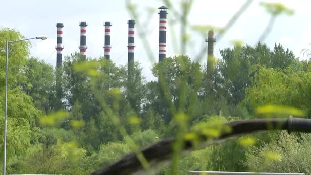 Aus Dem Rohr Verschmilzt Schmutzwasser Und Verschmutzt Die Umwelt — Stockvideo