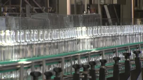 Usine Alcool Bouteilles Verre Rangée Déplaçant Long Convoyeur — Video