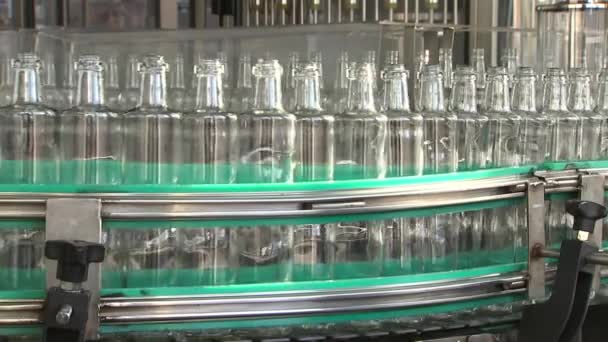 Алкогольний Завод Рухається Вздовж Конвеєрної Пляшки Середній План — стокове відео
