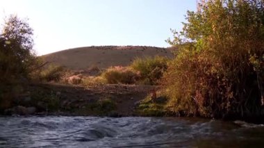 Dağ nehir, dağlarda koyun sürüsü herding çoban