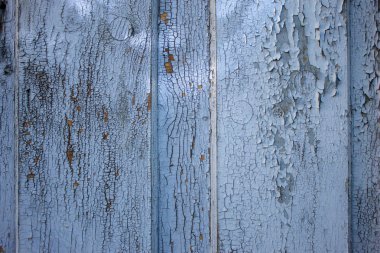 Şişmiş ve kırık mavi boya ahşap kapı doku eski Komiteleri