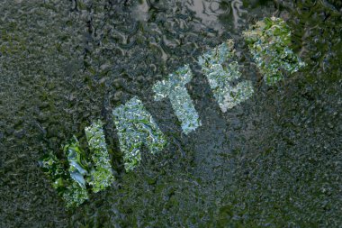 Yazıt: Su, su damlaları ayna cam üzerinde