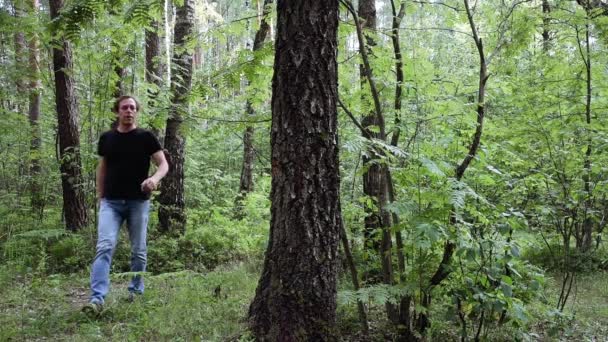Drwal Siekierą Siekając Drzewo Bagażniku Napis Help — Wideo stockowe