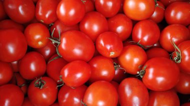 Bir yığın taze kırmızı domates, olgun domates hasat