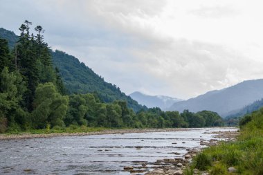 Sarsın ağaçlarla kaplı dağların üzerindeki beyaz bulutlar, dağ manzarası