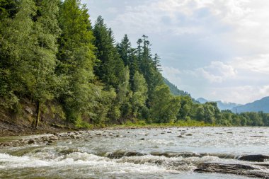 Akıntıları ve çatlakları olan dağ nehri, iğne yapraklı ağaçlarla yamaçlar, köpüren su akıntısı
