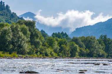 Akıntıları ve çatlakları olan dağ nehri, iğne yapraklı ağaçlarla yamaçlar, köpüren su akıntısı