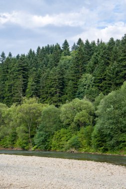 Sarsın ağaçlarla kaplı dağların üzerindeki beyaz bulutlar, dağ manzarası
