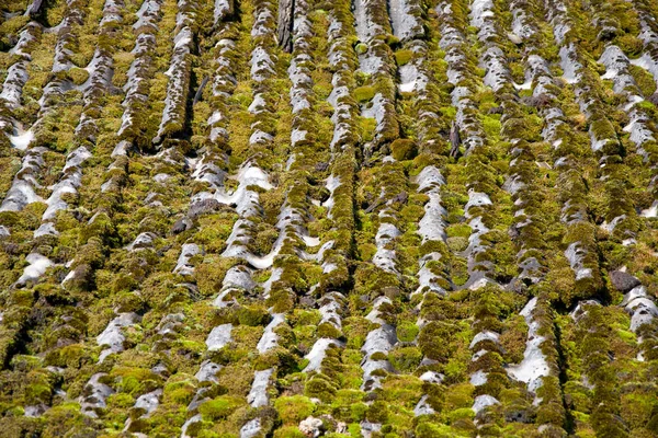 Old slate roof covered with green moss, the danger of collapse of the dilapidated roof, poverty