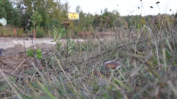 보호의 소송에서 군대는 도로에 버섯의 방사선을 Dosimetric — 비디오