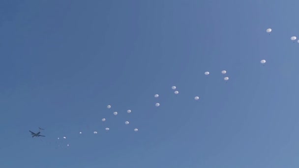 Paraşütlerle Uçaktan Atlayan Askeri Askerler Mavi Gökyüzü Arka Planı Üzerinde — Stok video