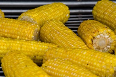 Mobil barbekü, sokak gıda fast food üzerinde genç sarı mısır kavurma Kulakları