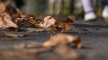 Çocuk asfaltta yatan bir yaprak yığınının yanından geçiyor..